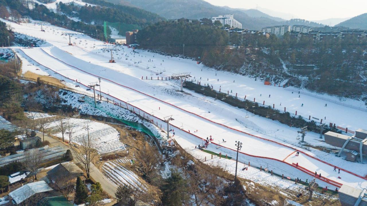 Bears Town Hotel Pocheon Eksteriør billede
