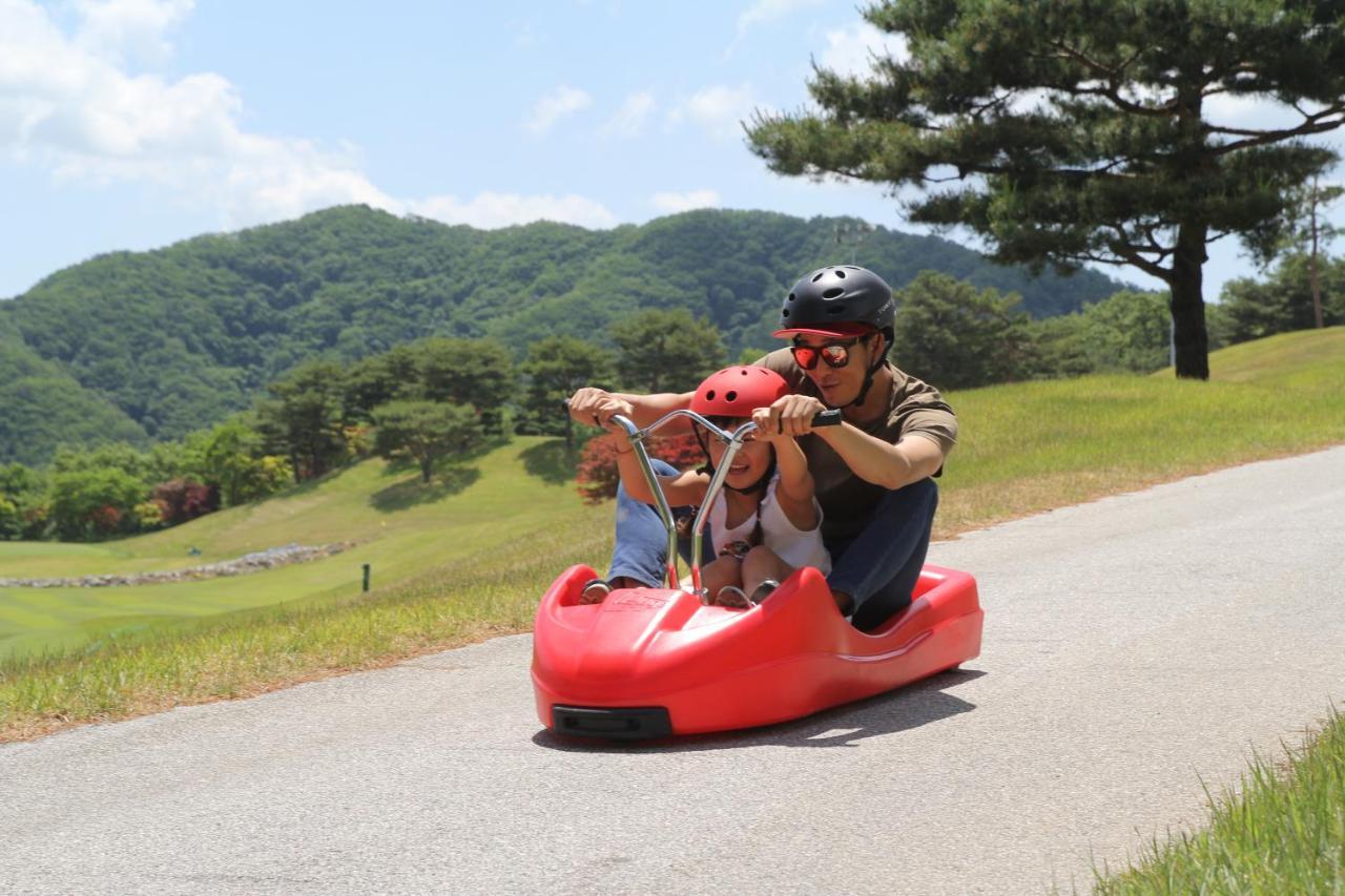 Bears Town Hotel Pocheon Eksteriør billede