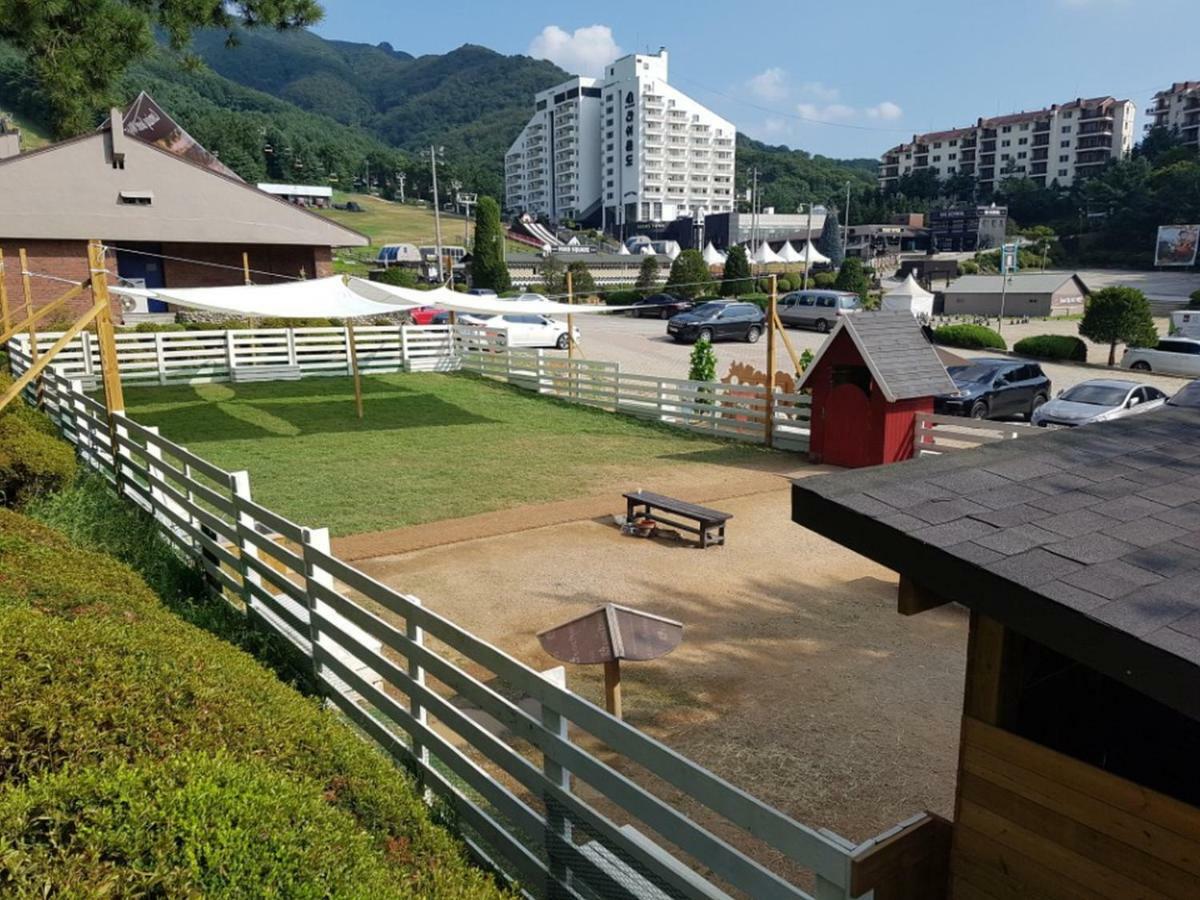 Bears Town Hotel Pocheon Eksteriør billede