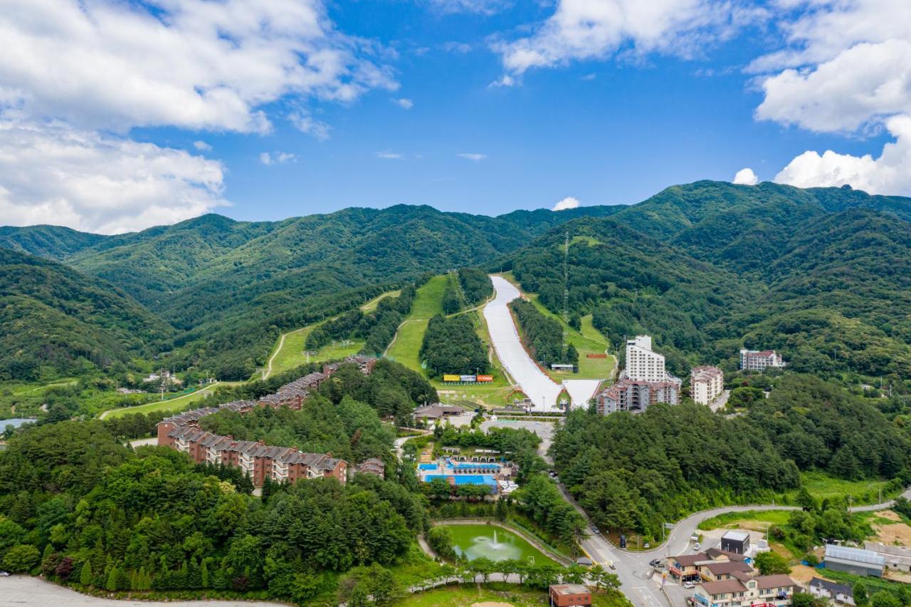 Bears Town Hotel Pocheon Eksteriør billede